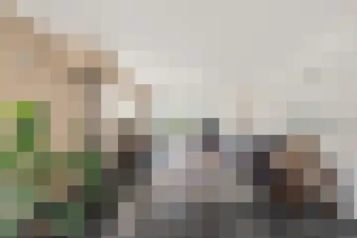 van Barneveldlaan 35 Wehl thumbnail 5
