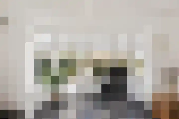 van Barneveldlaan 35 Wehl thumbnail 6