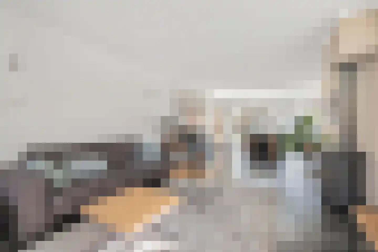 van Barneveldlaan 35 Wehl thumbnail 7