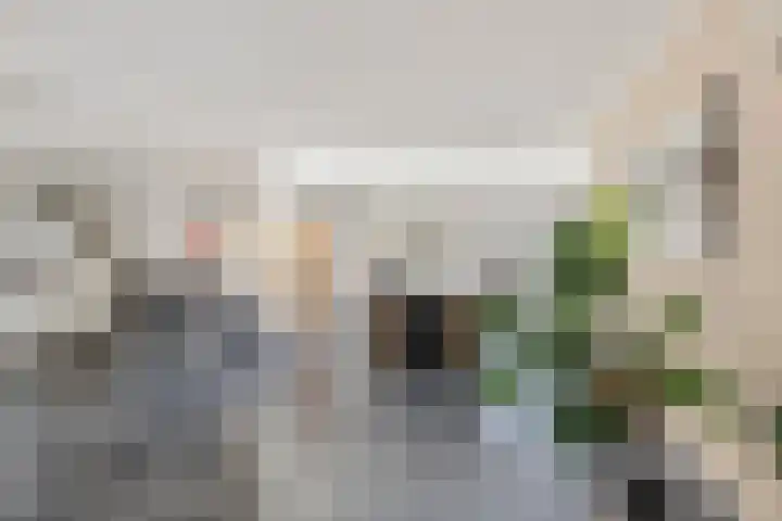 van Barneveldlaan 35 Wehl thumbnail 8