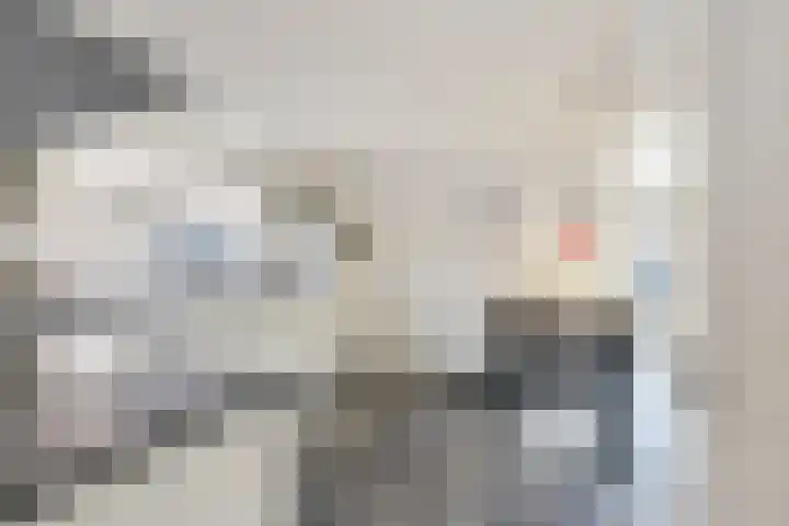 van Barneveldlaan 35 Wehl thumbnail 9