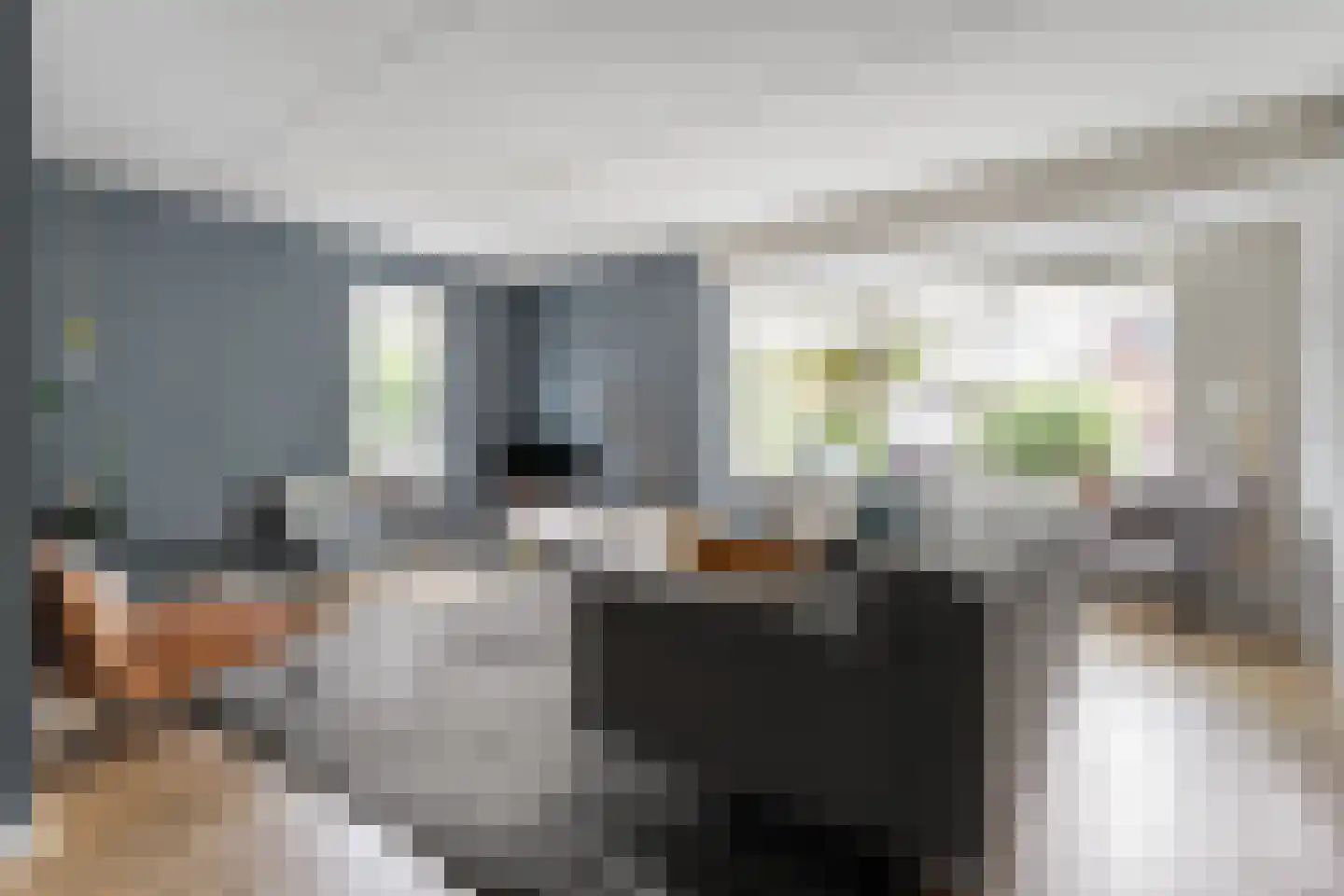 Van Barneveldstraat 18 Dedemsvaart thumbnail 12