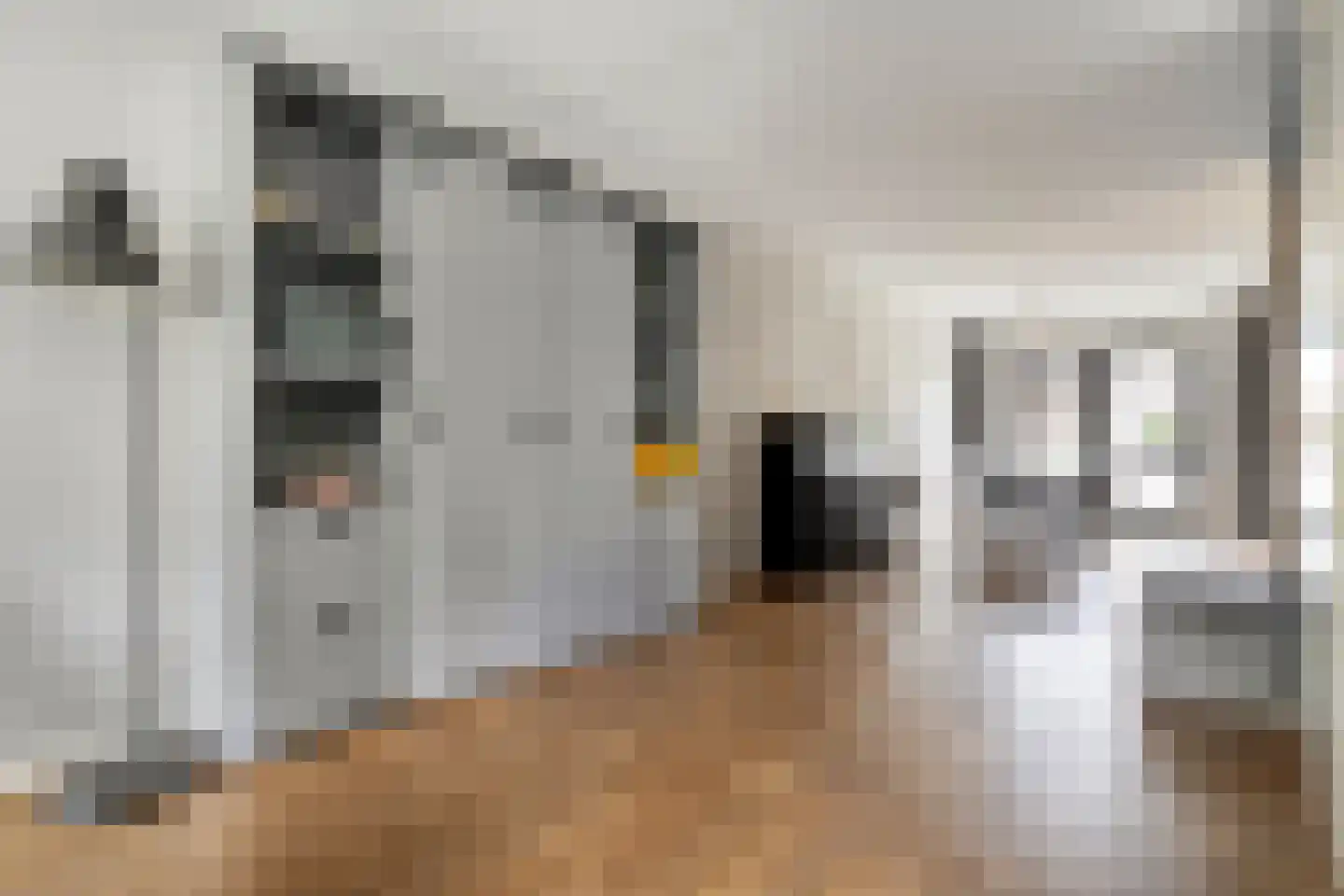 Van Barneveldstraat 18 Dedemsvaart thumbnail 15