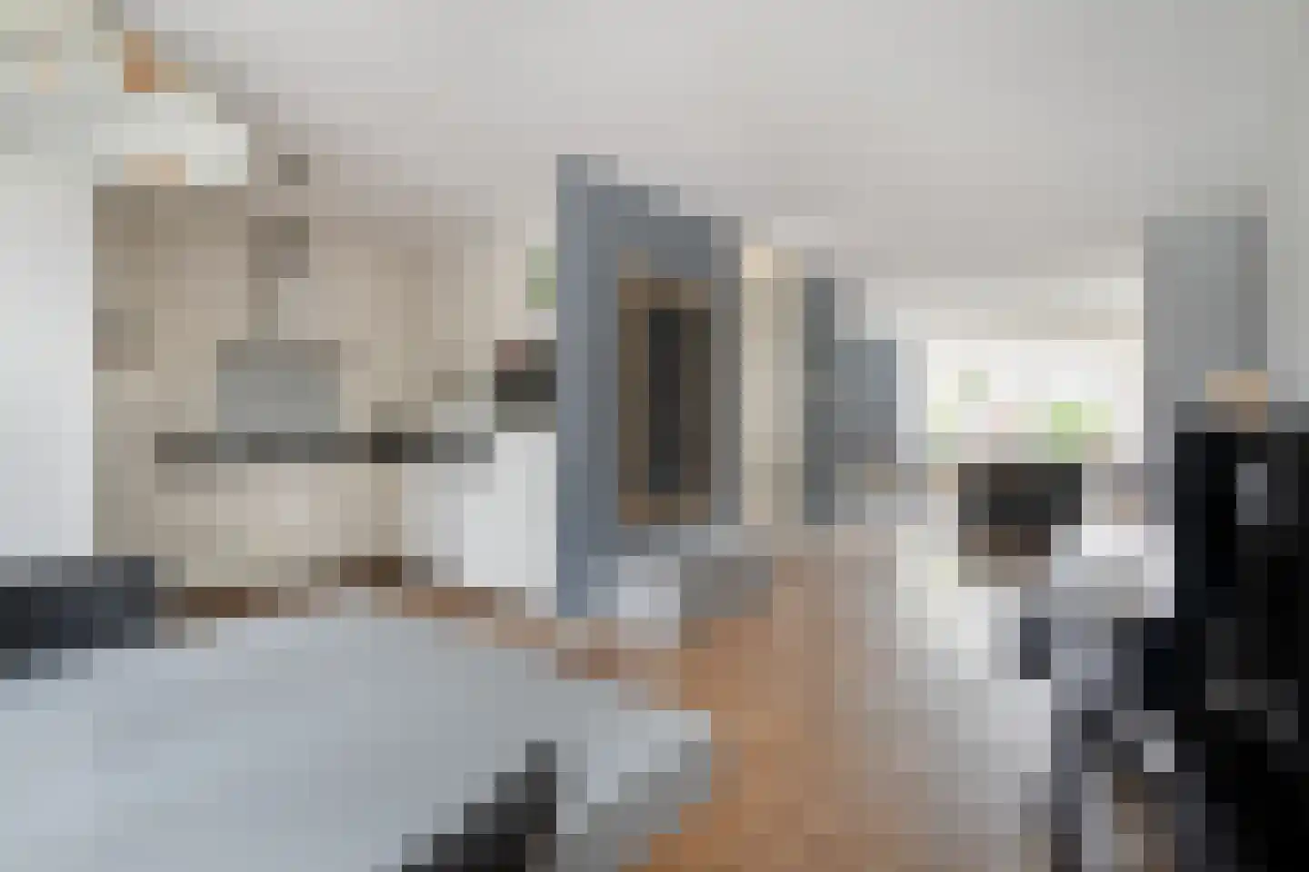 Van Barneveldstraat 18 Dedemsvaart thumbnail 17