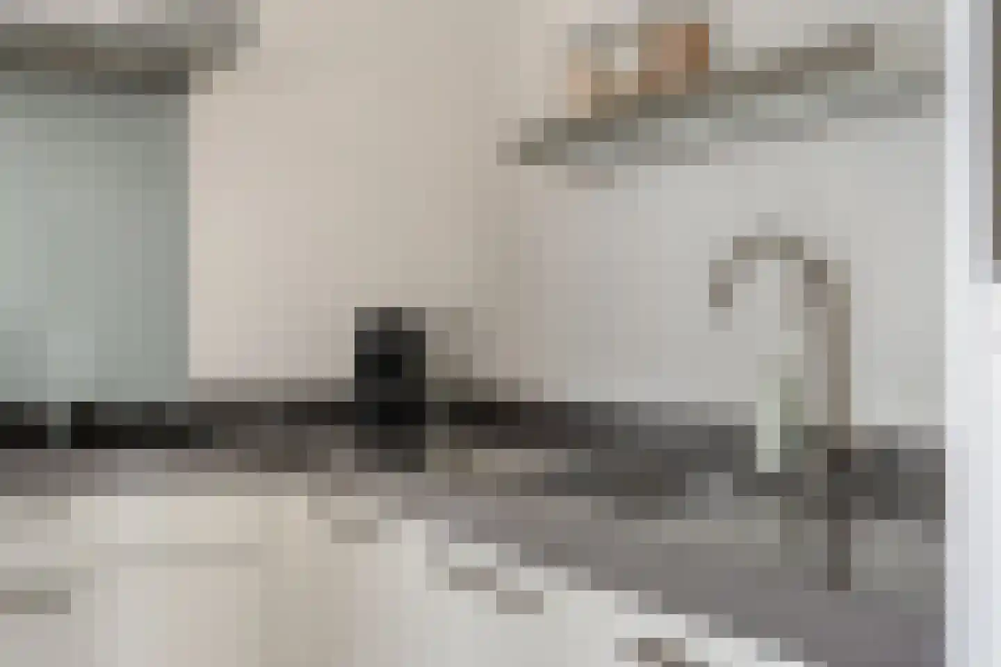Van Barneveldstraat 18 Dedemsvaart thumbnail 19