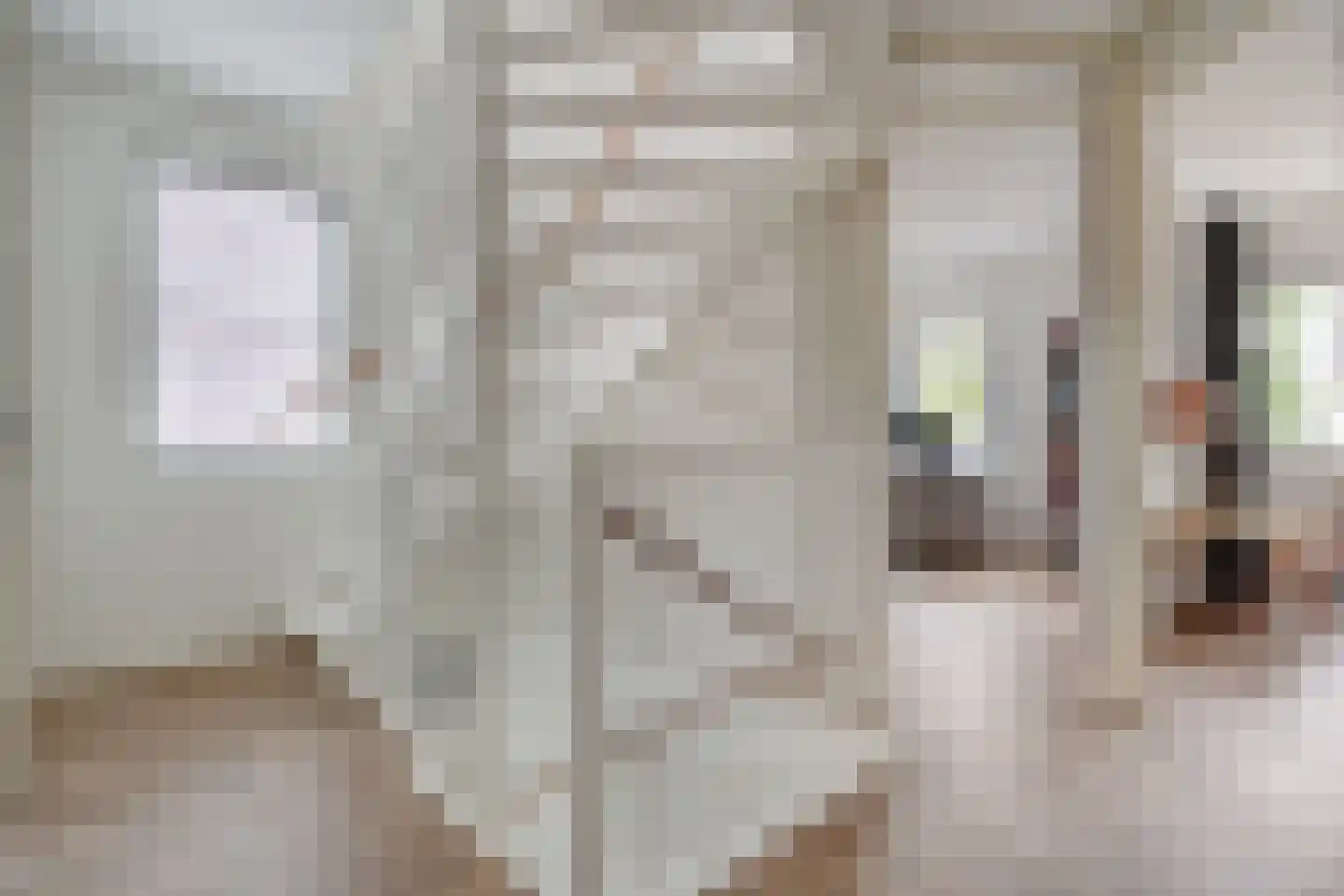 Van Barneveldstraat 18 Dedemsvaart thumbnail 23