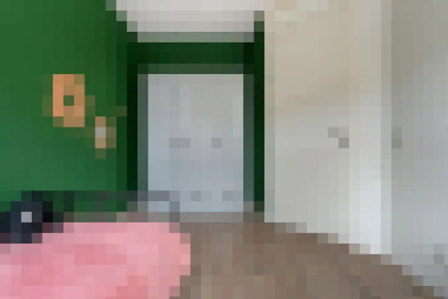 Van Barneveldstraat 18 Dedemsvaart thumbnail 28