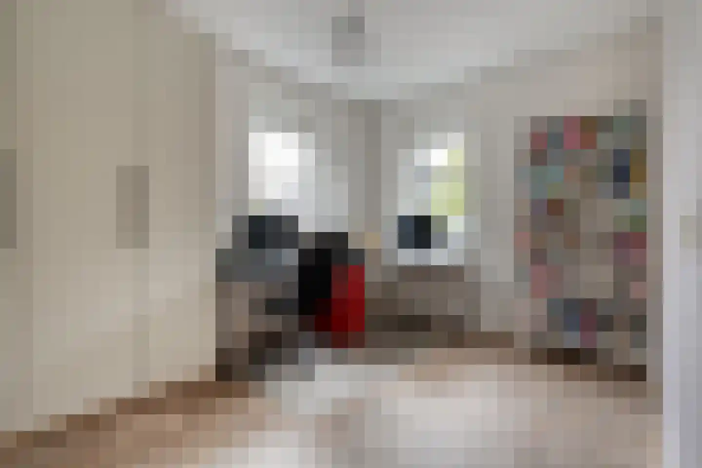 Van Barneveldstraat 18 Dedemsvaart thumbnail 30