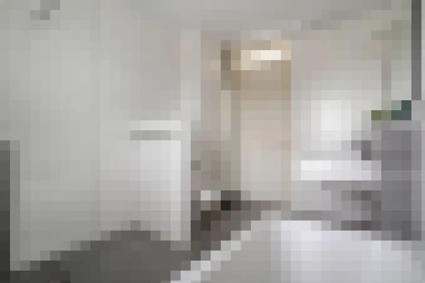 Van Barneveldstraat 18 Dedemsvaart thumbnail 33