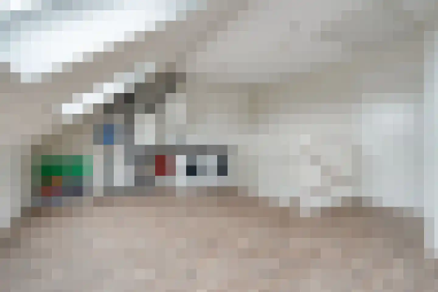 Van Barneveldstraat 18 Dedemsvaart thumbnail 36