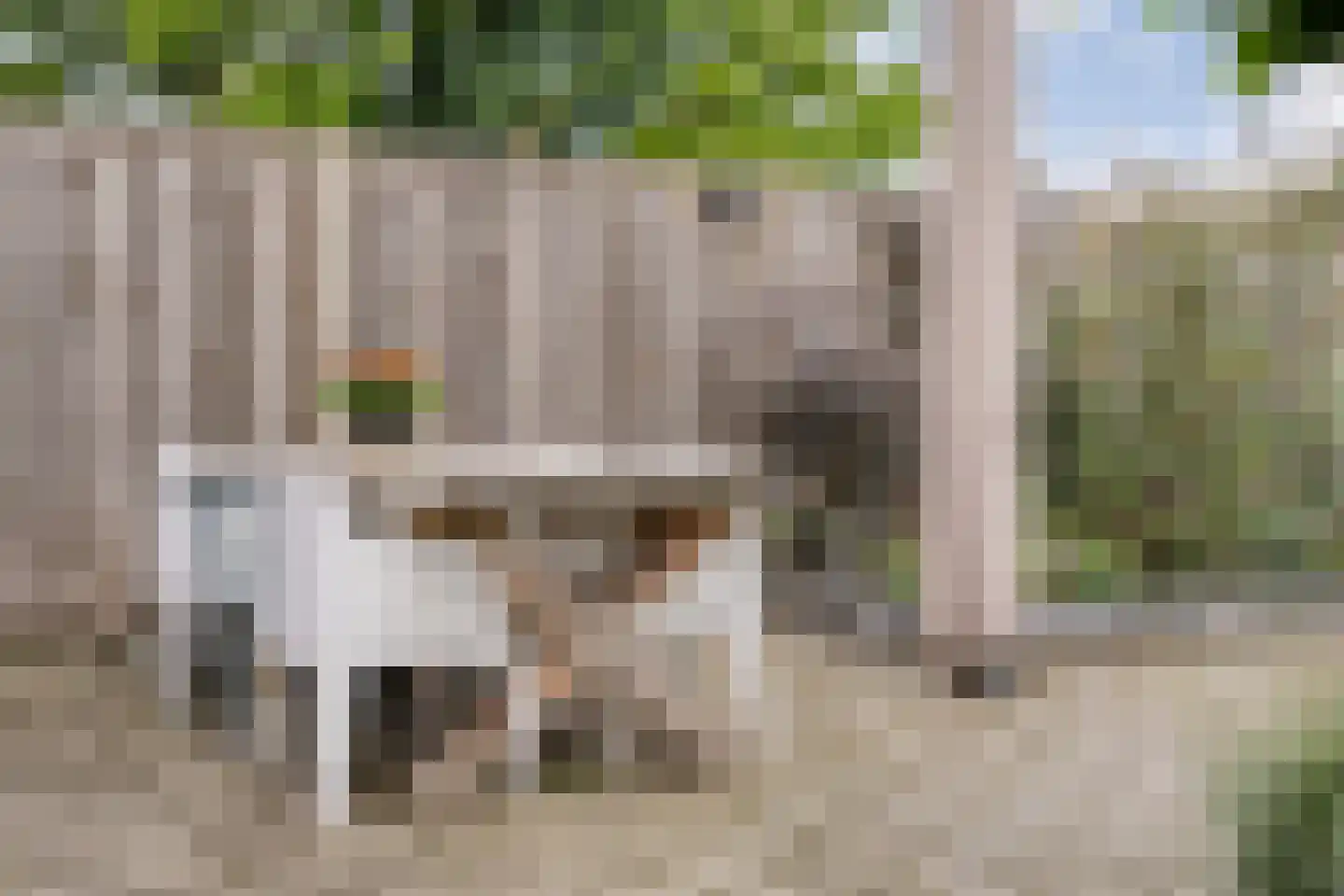 Van Barneveldstraat 18 Dedemsvaart thumbnail 41