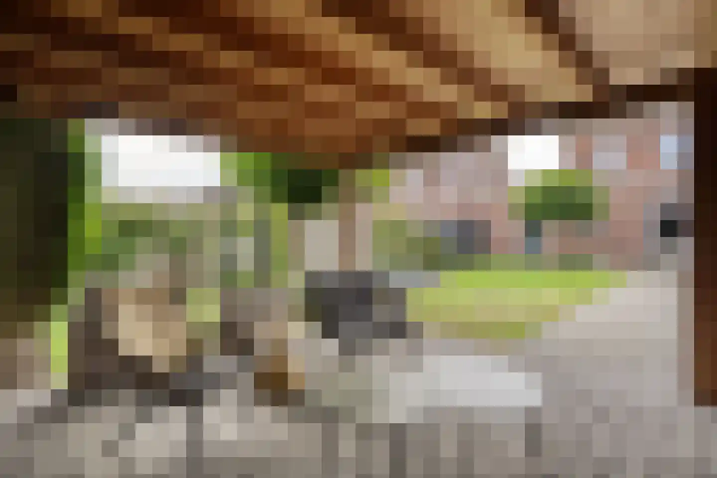 Van Barneveldstraat 18 Dedemsvaart thumbnail 45