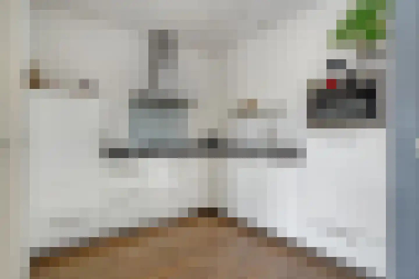 Van Barneveldstraat 18 Dedemsvaart thumbnail 5
