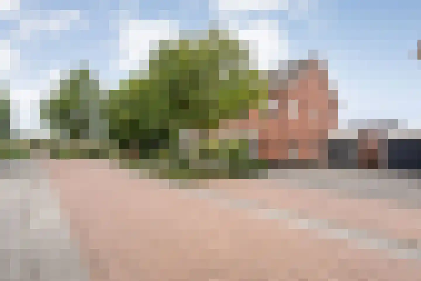 Van Barneveldstraat 18 Dedemsvaart thumbnail 56
