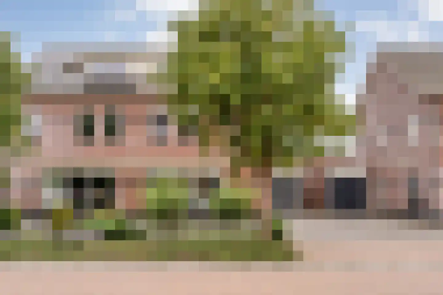 Van Barneveldstraat 18 Dedemsvaart thumbnail 59