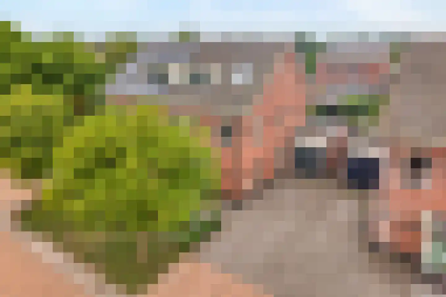Van Barneveldstraat 18 Dedemsvaart thumbnail 8