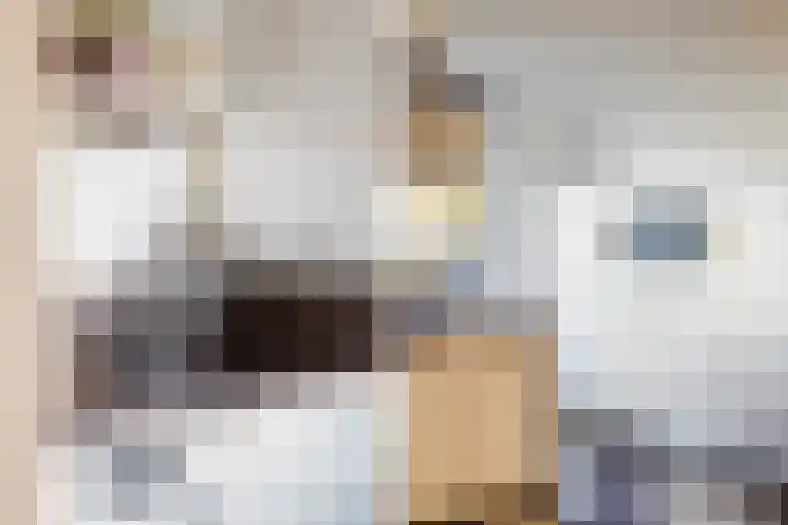Van Barrylaan 23 Numansdorp thumbnail 12