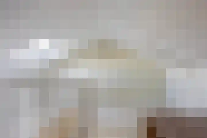Van Barrylaan 23 Numansdorp thumbnail 43