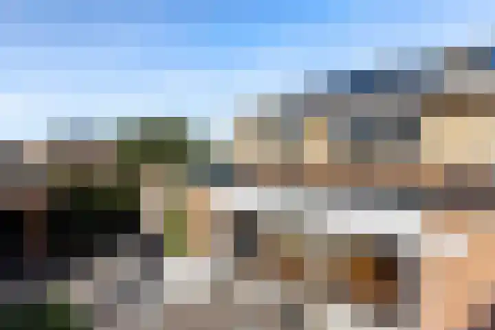 Van Barrylaan 23 Numansdorp thumbnail 52