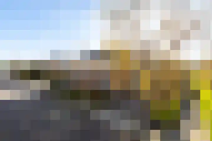 Van Barrylaan 23 Numansdorp thumbnail 53