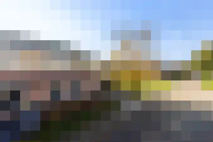 Van Barrylaan 23 Numansdorp thumbnail 54
