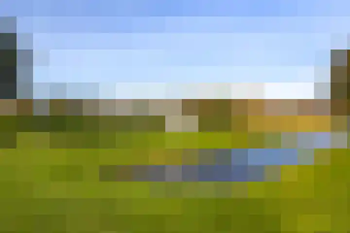 Van Barrylaan 23 Numansdorp thumbnail 55