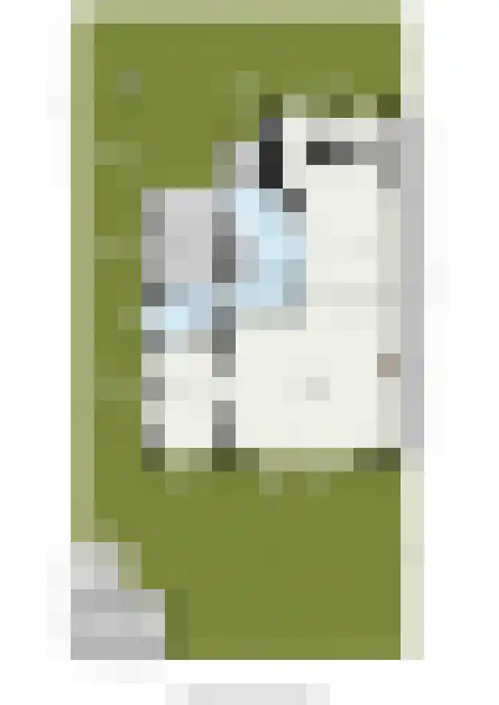 Van Barrylaan 23 Numansdorp thumbnail 62