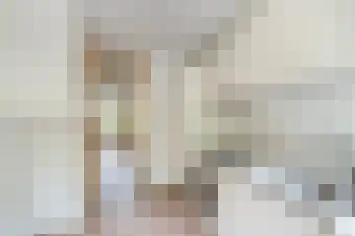 Van Bassenstraat 114 Rotterdam thumbnail 5