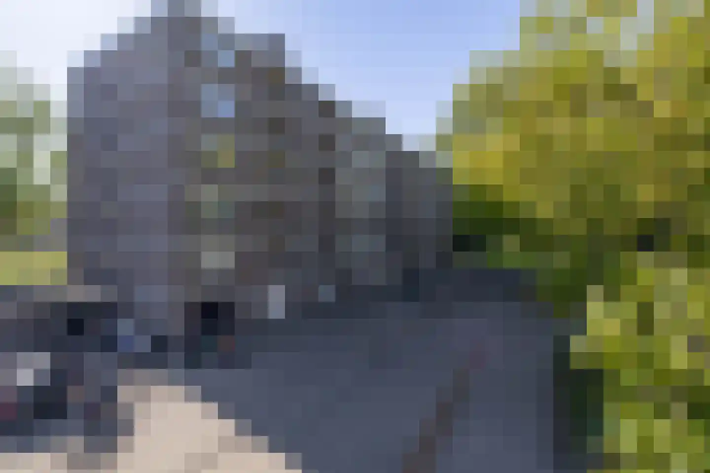 Van Bassenstraat 132 Rotterdam thumbnail 10