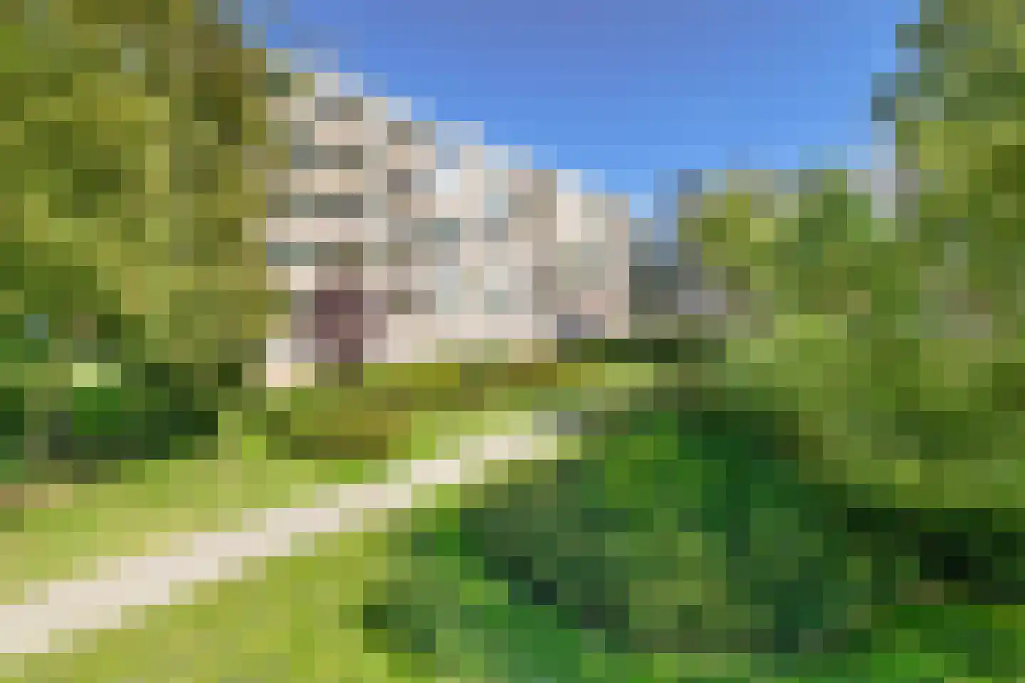Van Bassenstraat 132 Rotterdam thumbnail 7