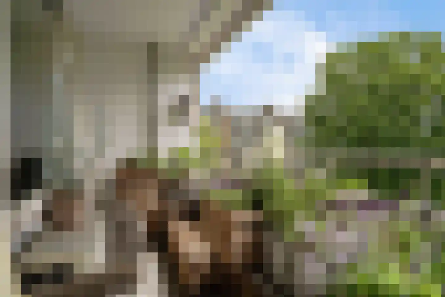 Van Bassenstraat 168 Rotterdam thumbnail 18