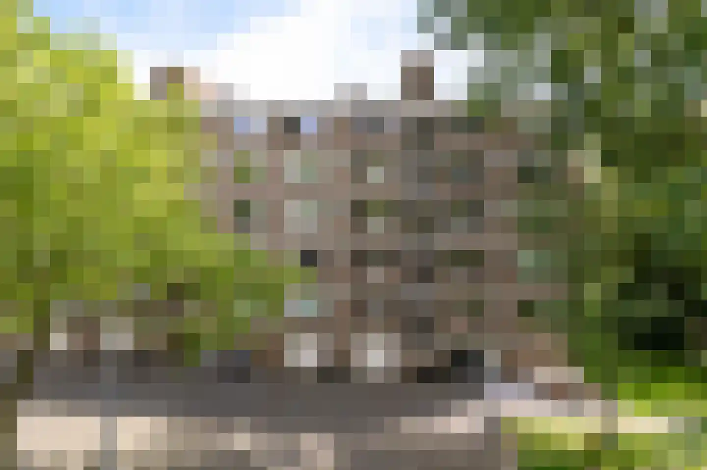 Van Bassenstraat 168 Rotterdam thumbnail 37