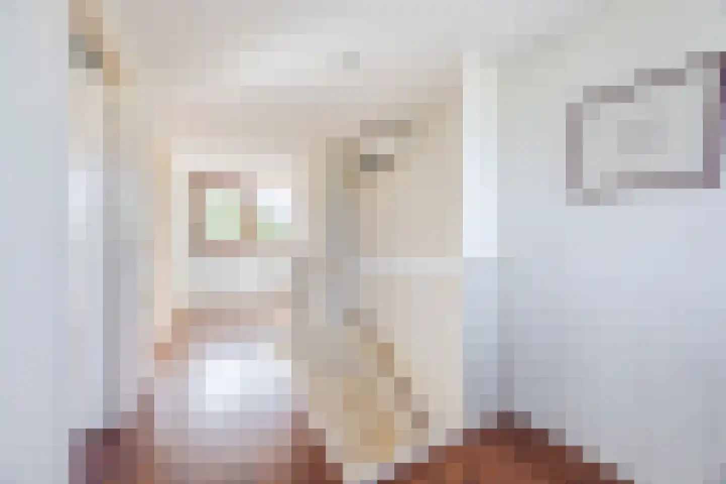 Van Bassenstraat 46 Rotterdam thumbnail 32