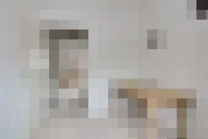 van Basten Batenburgstraat 14 Lichtenvoorde thumbnail 33