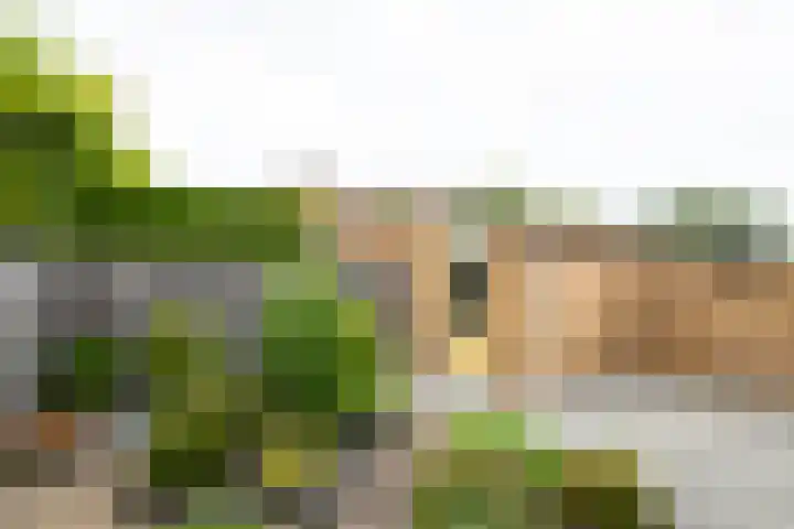 van Basten Batenburgstraat 14 Lichtenvoorde thumbnail 47
