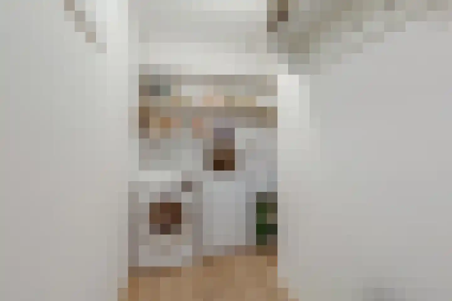 van Basten Batenburgstraat 35 Lichtenvoorde thumbnail 37