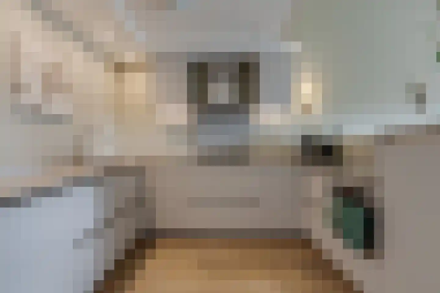 van Basten Batenburgstraat 35 Lichtenvoorde thumbnail 7