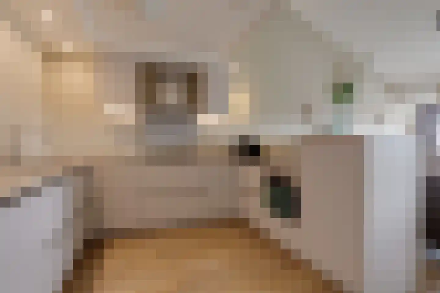 van Basten Batenburgstraat 35 Lichtenvoorde thumbnail 9