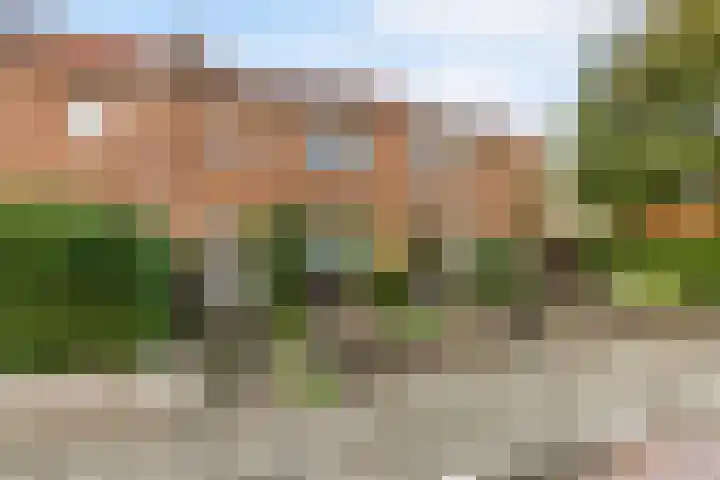 van Batenborchstraat 4 Nijmegen thumbnail 6