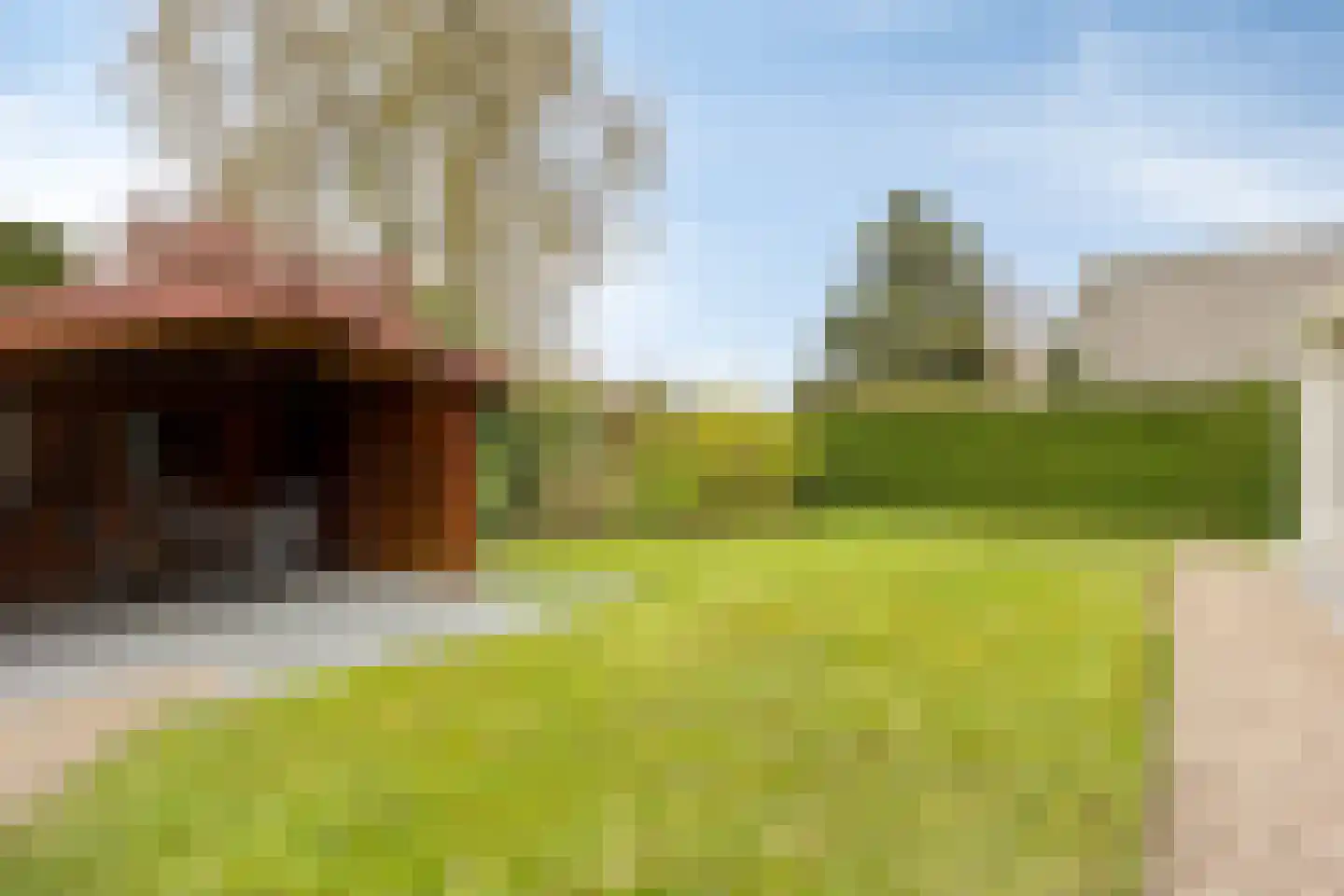 van Beckumstraat 4 Boxmeer thumbnail 21