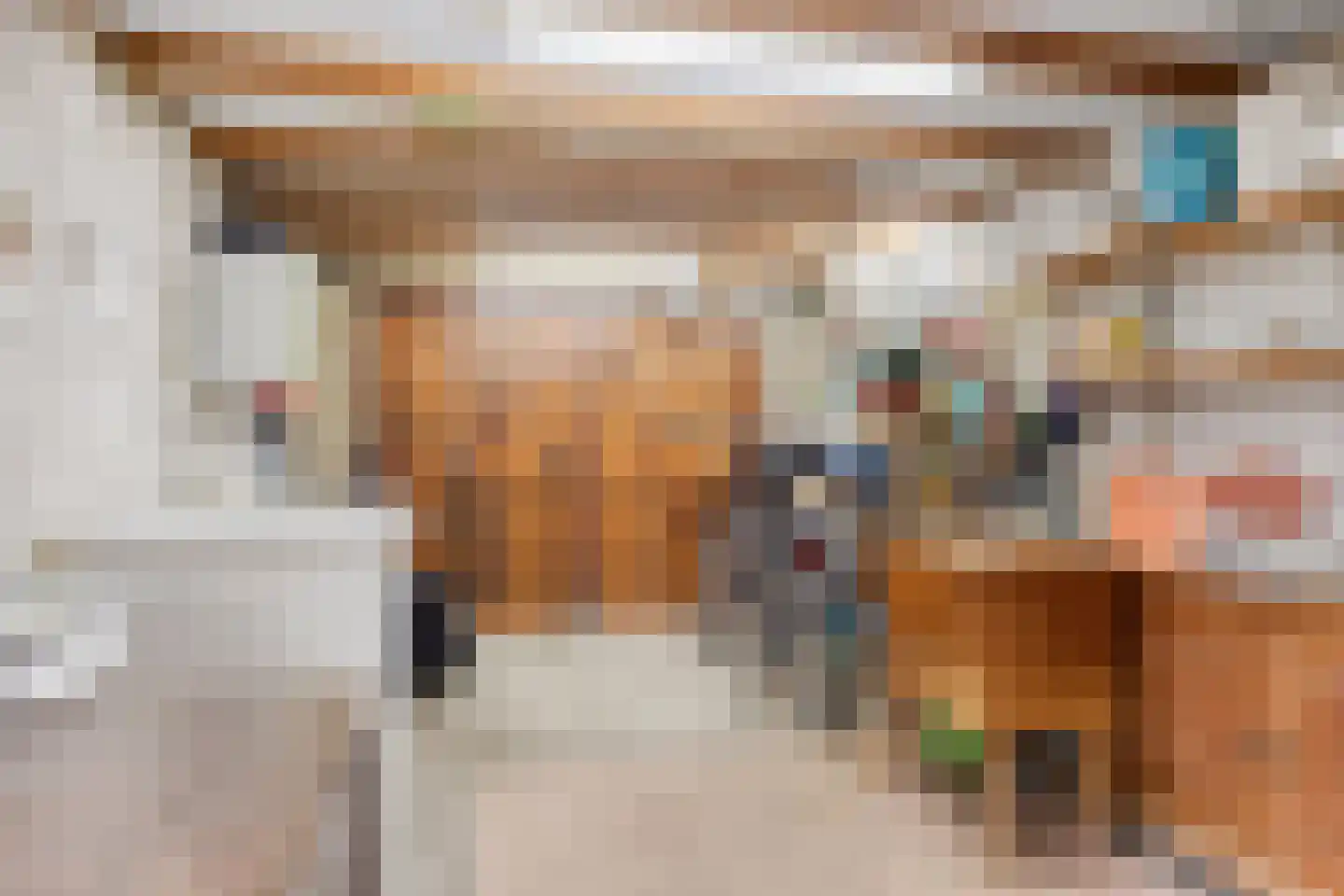 van Beckumstraat 4 Boxmeer thumbnail 25
