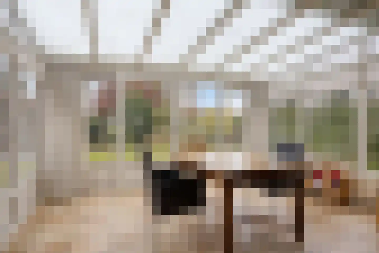 van Beckumstraat 4 Boxmeer thumbnail 8