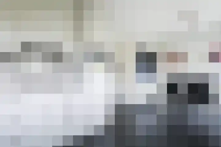 Van Beeklaan 52 Hooglanderveen thumbnail 16