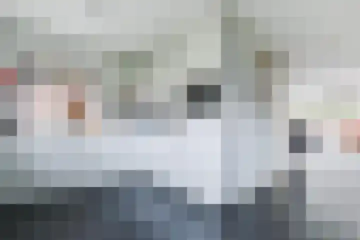 Van Beeklaan 52 Hooglanderveen thumbnail 17