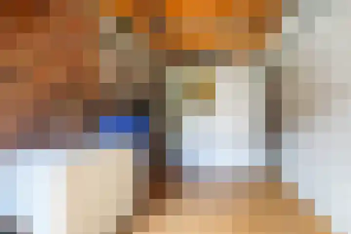 Van Beeklaan 52 Hooglanderveen thumbnail 33