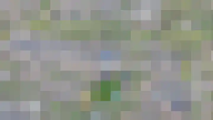 Van Beeklaan 52 Hooglanderveen thumbnail 8