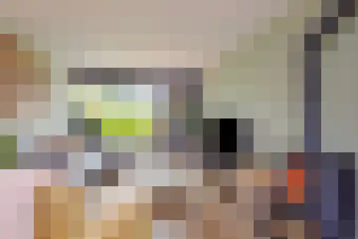 Van Beeklaan 55 Hooglanderveen thumbnail 11