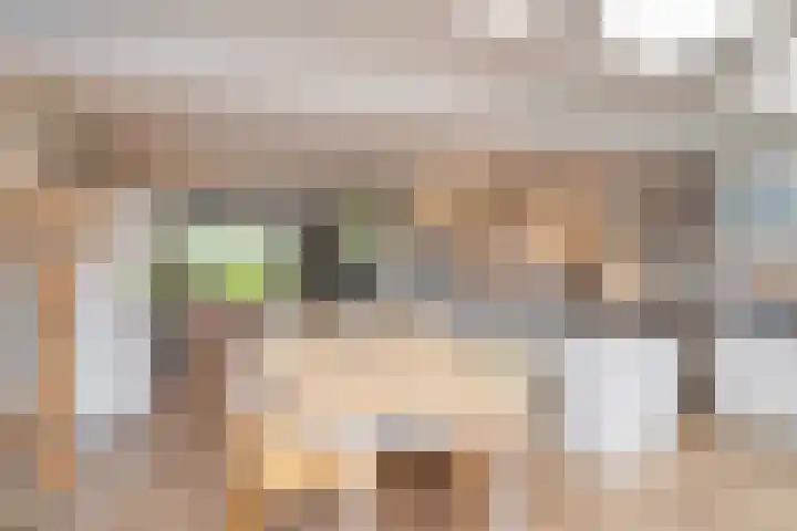 Van Beeklaan 55 Hooglanderveen thumbnail 12