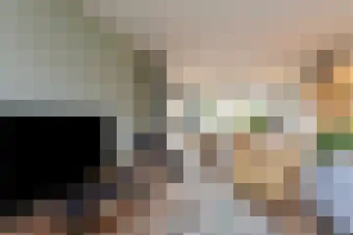 Van Beeklaan 55 Hooglanderveen thumbnail 13