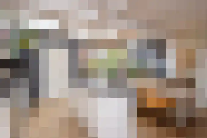 Van Beeklaan 55 Hooglanderveen thumbnail 15
